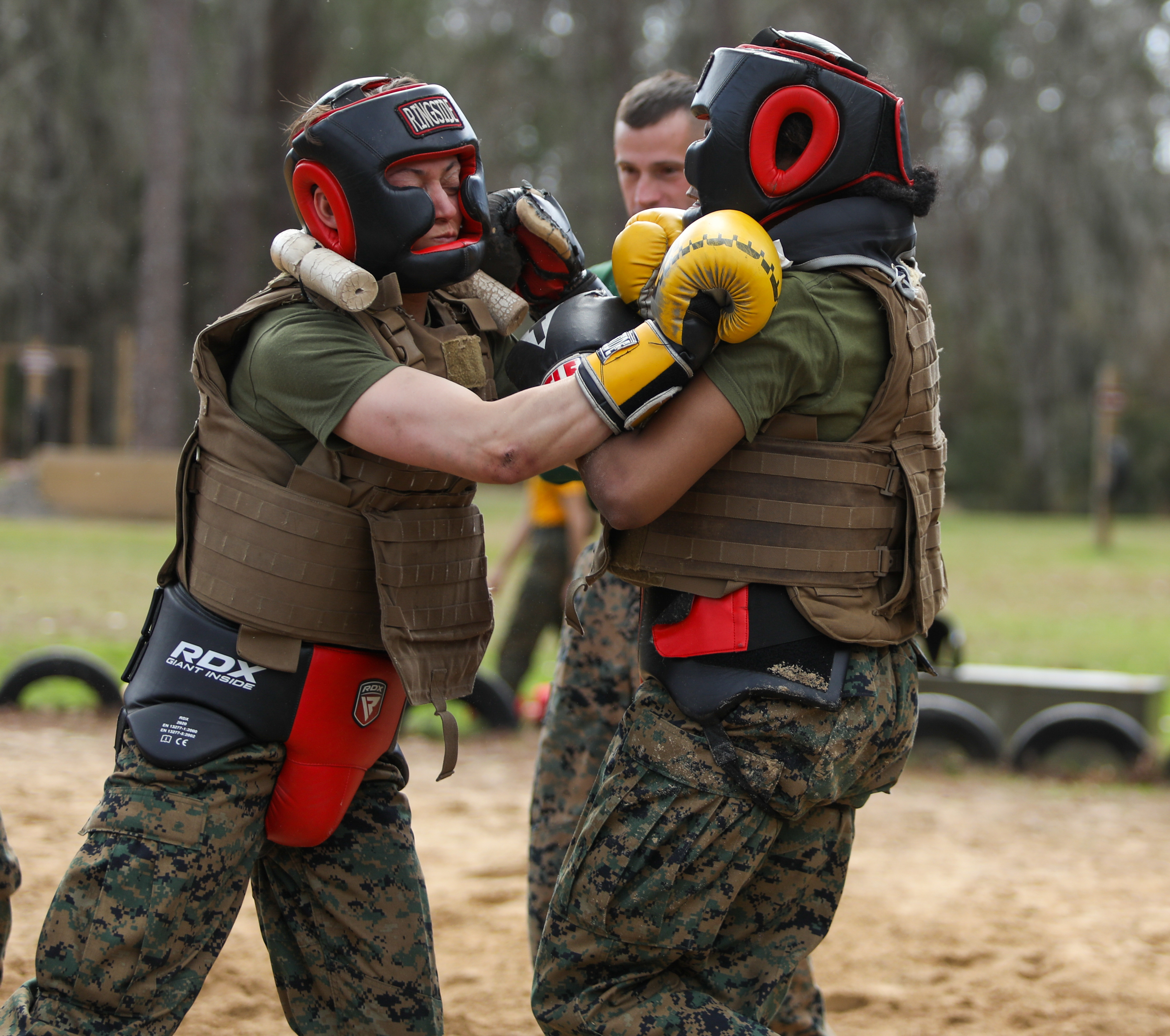 Marine Corps Martial Arts Testing Photo